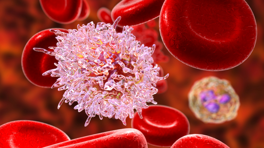 Mitozz®: El Mejor Apoyo para Enfermos Crónicos