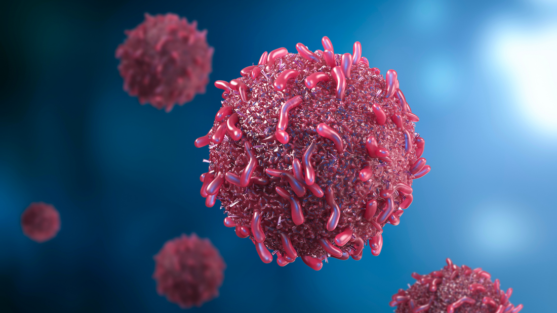 Cáncer y mitocondrias: cómo Mitozz® apoya tu energía en procesos difíciles